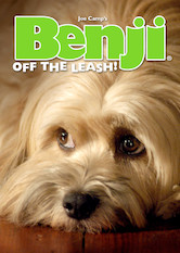 Poster: Benji: Off the Leash