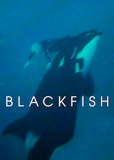 Poster: Blackfish