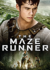 Poster: The Maze Runner