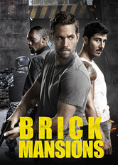 Poster: Brick Mansions