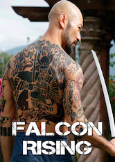 Poster: Falcon Rising