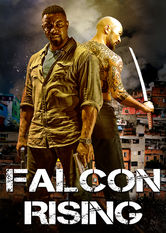 Poster: Falcon Rising