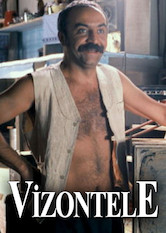 Poster: Vizontele