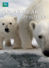 Poster: Polar Bear: Spy on the Ice