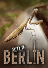 Poster: Wildes Berlin