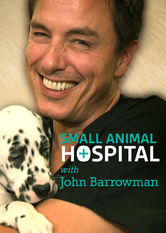 Poster: Small Animal Hospital