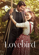 Poster: Love Bird