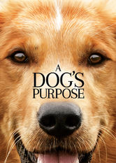 Poster: A Dog's Purpose