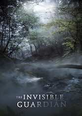 Poster: The Invisible Guardian