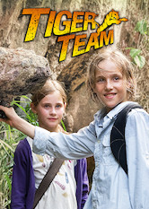 Poster: Tiger Team – Der Berg der 1000 Drachen