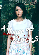 Poster: A House of Blocks