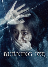 Poster: Burning Ice