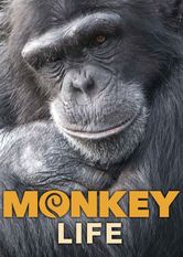 Poster: Monkey Life