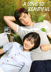 Poster: A Love So Beautiful