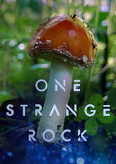 Poster: One Strange Rock