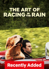 Poster: The Art of Racing in the Rain