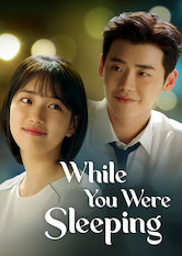 Poster: While You Were Sleeping