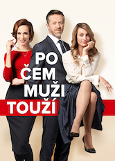 Poster: Po čem muži touží