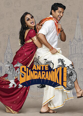 Poster: Ante Sundaraniki